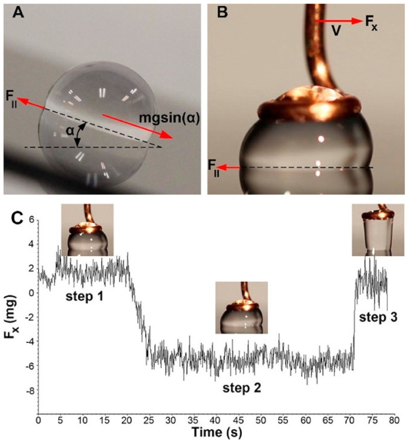 Figure 27