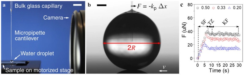 Figure 31