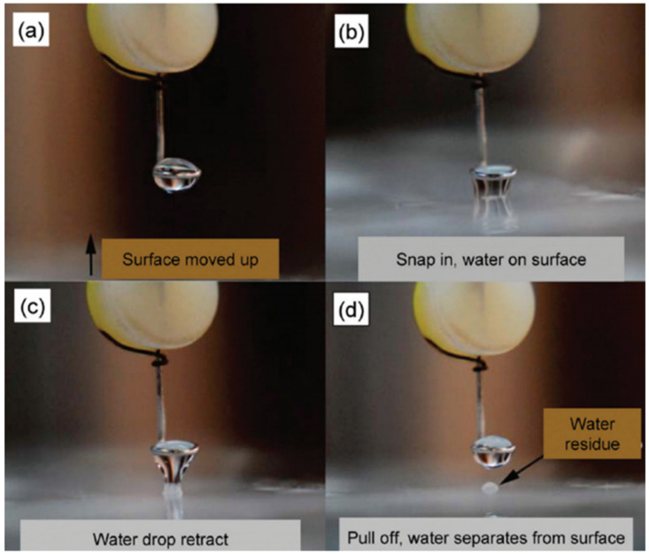 Figure 29