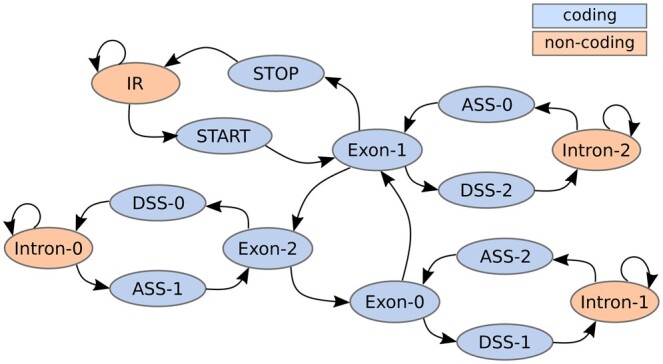 Figure 2.