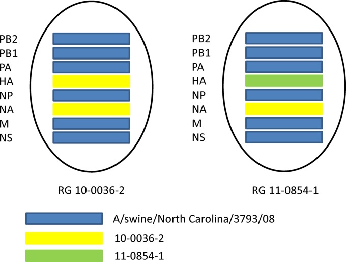 Fig 1