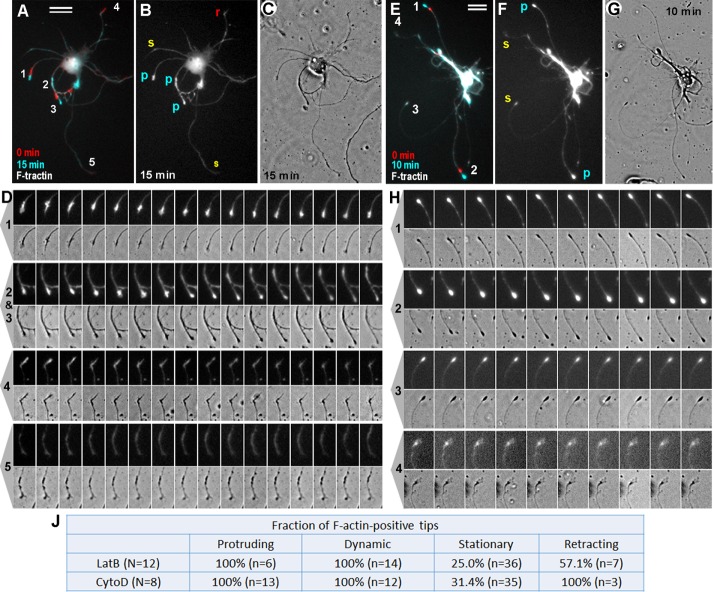 FIGURE 3: