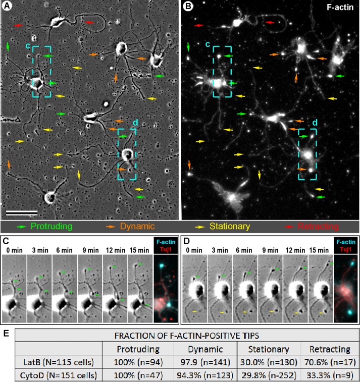 FIGURE 4: