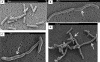 FIG. 7.