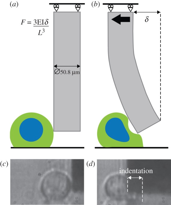 Figure 1.