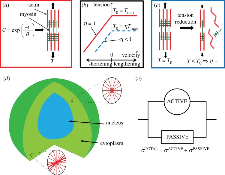 Figure 2.