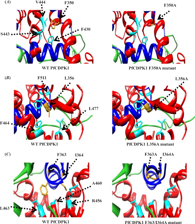 FIGURE 5.