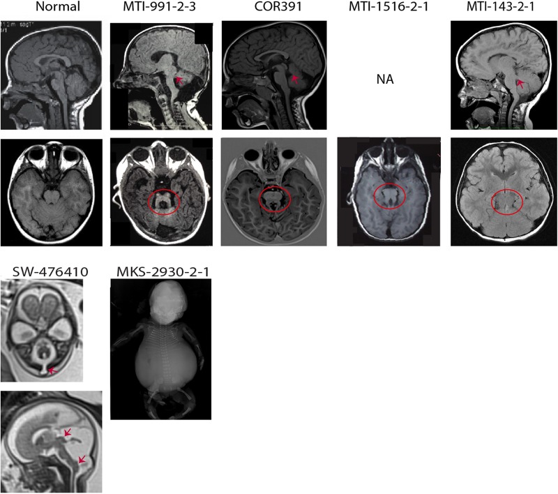 Figure 2