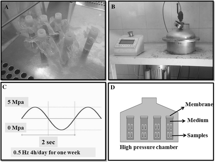 Fig. 1