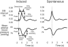 Figure 2)