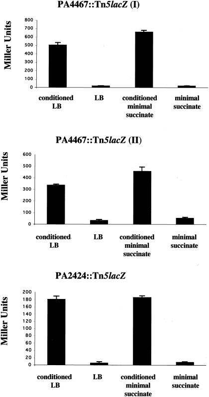 FIG. 2.