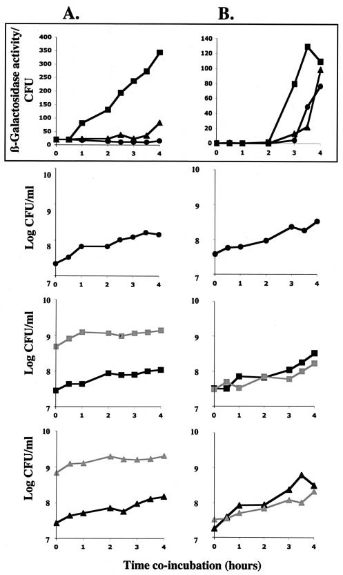 FIG. 7.