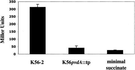 FIG. 5.