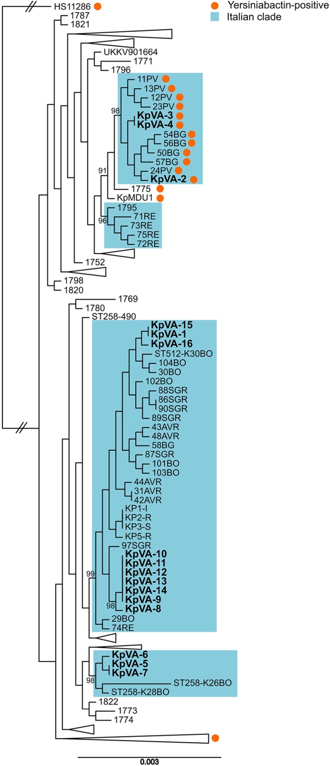 FIG 2