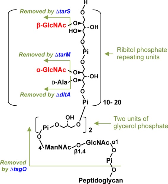 FIGURE 1.