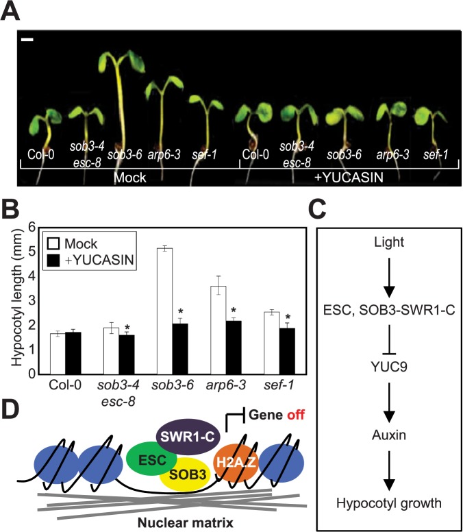 Fig 5