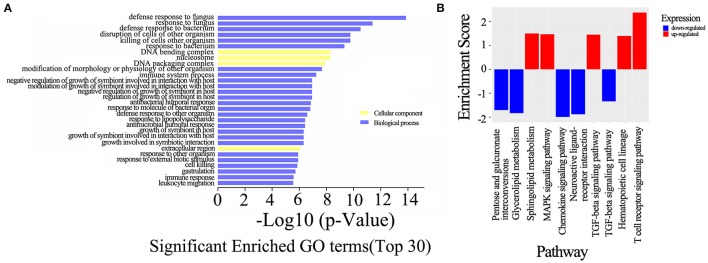 Figure 7