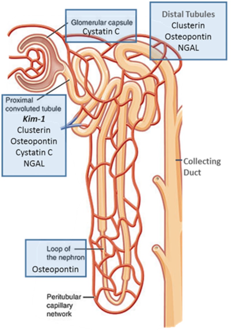 FIG 4