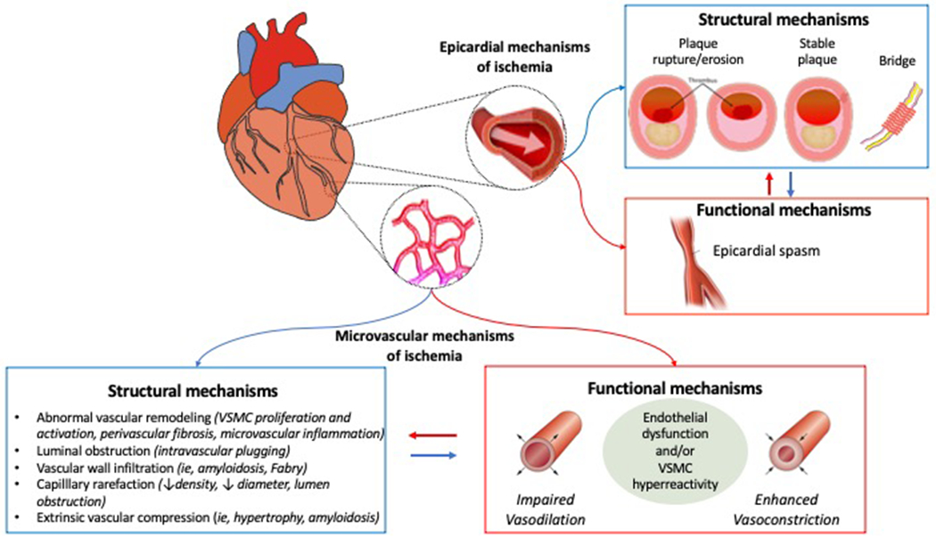 Figure 2: