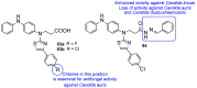 Figure 45