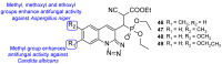 Figure 25