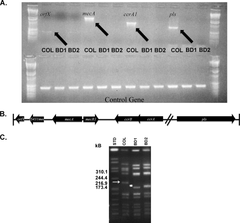 FIG. 5.