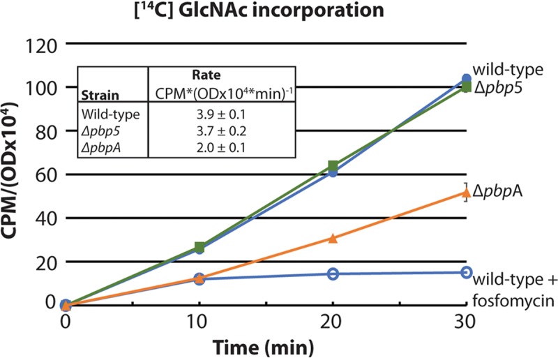 FIG 1