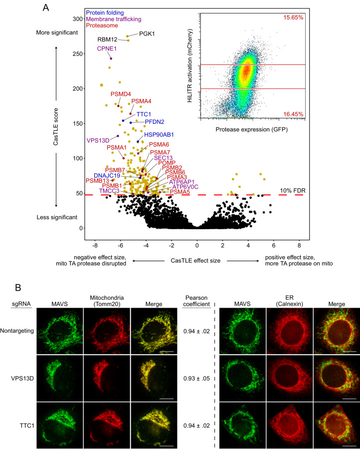 Figure 2—figure supplement 1.