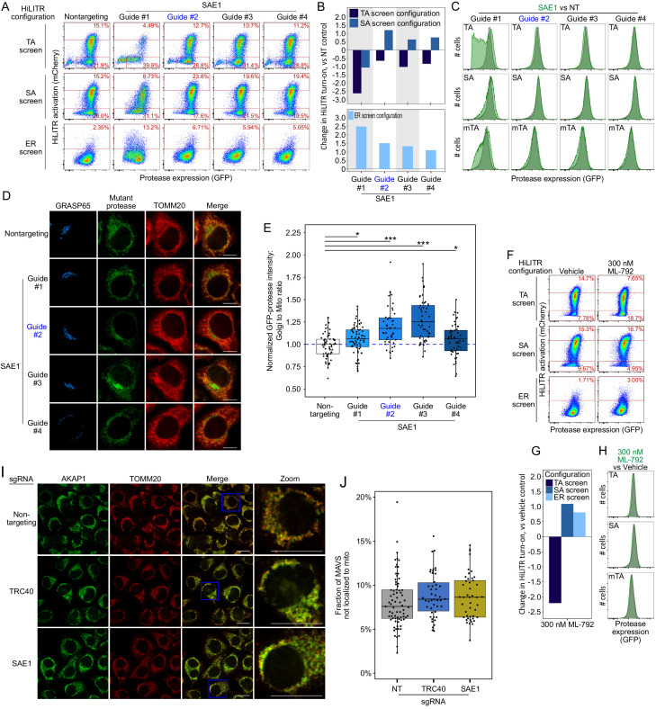 Figure 4—figure supplement 1.