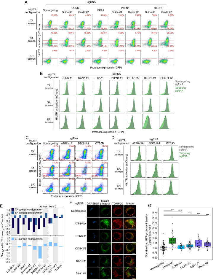 Figure 3—figure supplement 2.