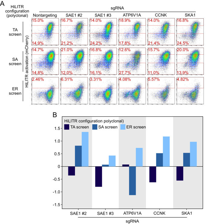 Figure 3—figure supplement 3.