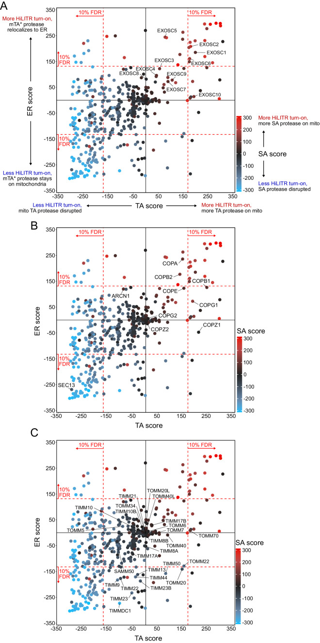 Figure 3—figure supplement 4.