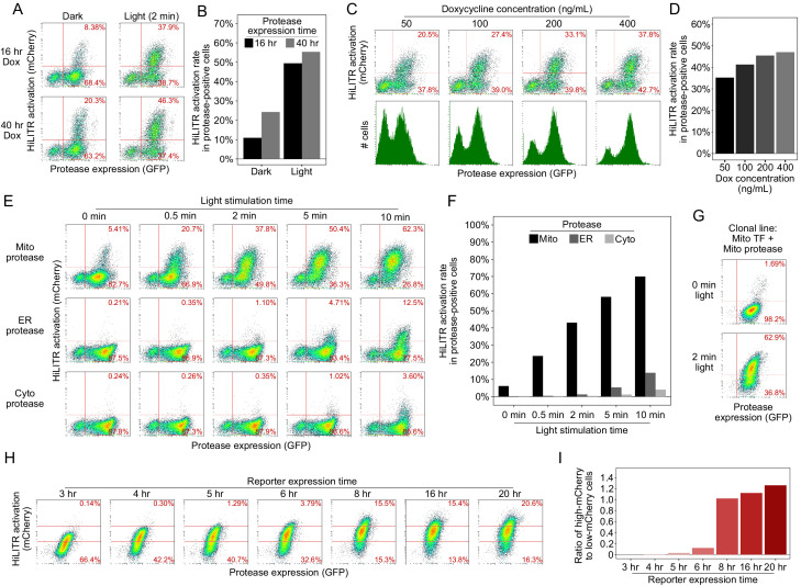 Figure 1—figure supplement 3.