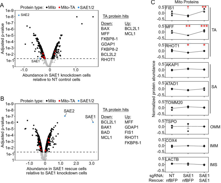 Figure 5—figure supplement 4.