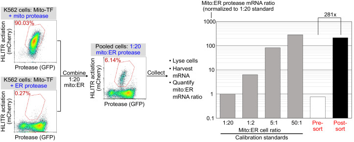 Figure 1—figure supplement 5.