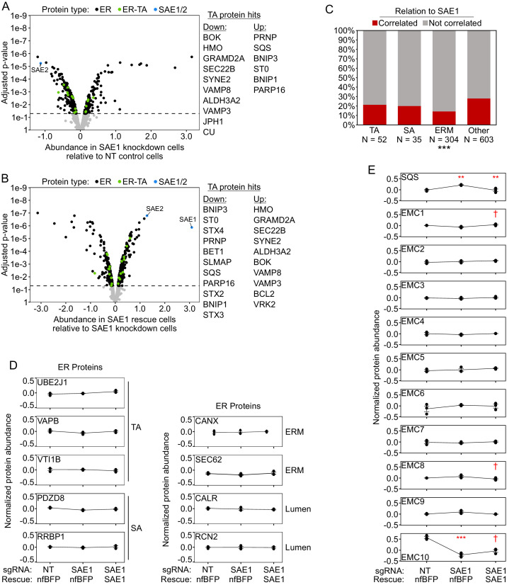 Figure 5—figure supplement 5.