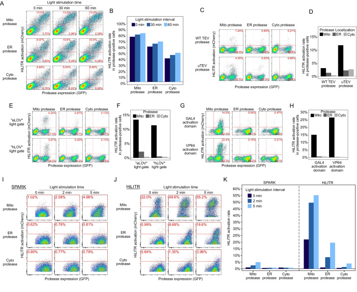 Figure 1—figure supplement 2.