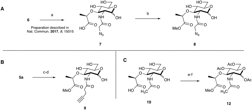 Scheme 2: