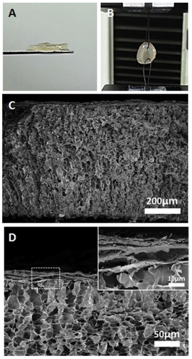 Figure 15