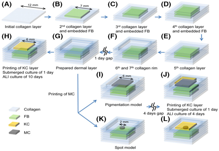 Figure 22