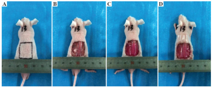 Figure 20