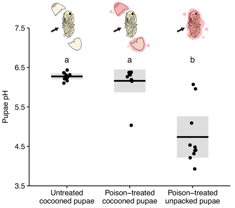 Figure 3—figure supplement 4.