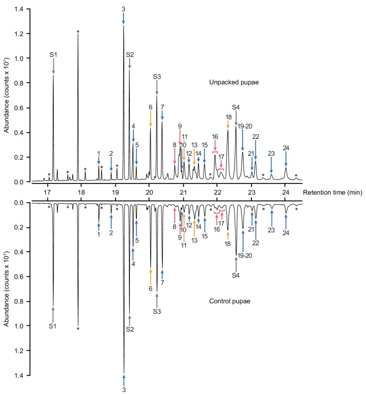 Figure 2—figure supplement 2.