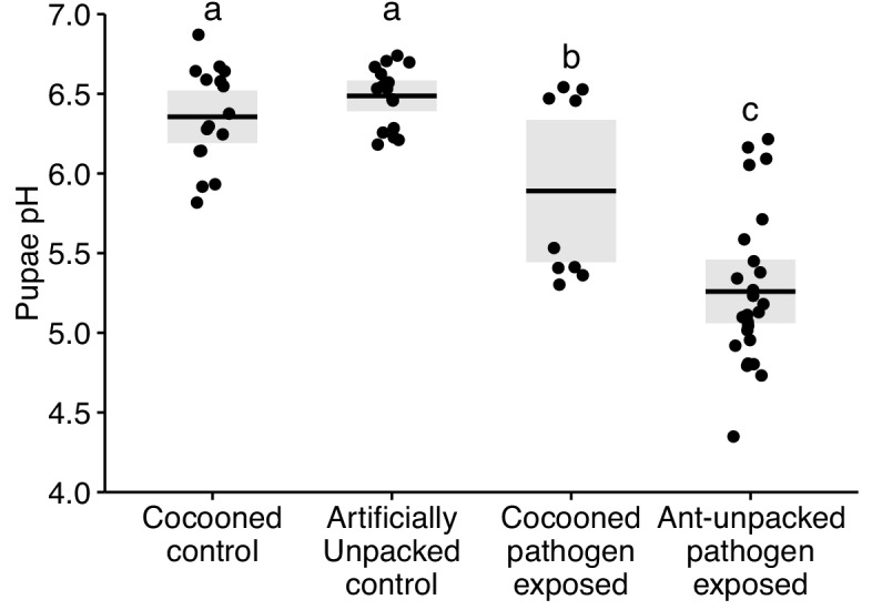 Figure 1—figure supplement 4.