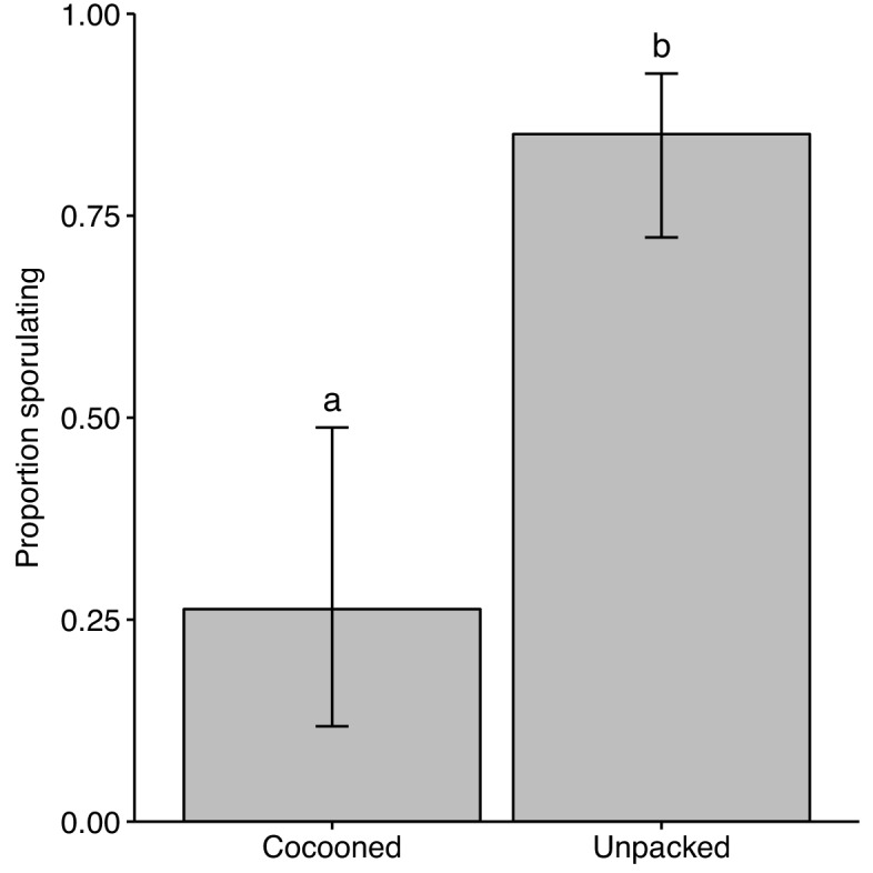 Figure 1—figure supplement 3.