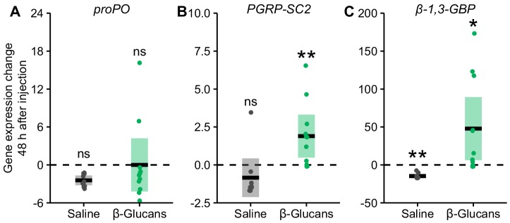 Figure 2—figure supplement 3.