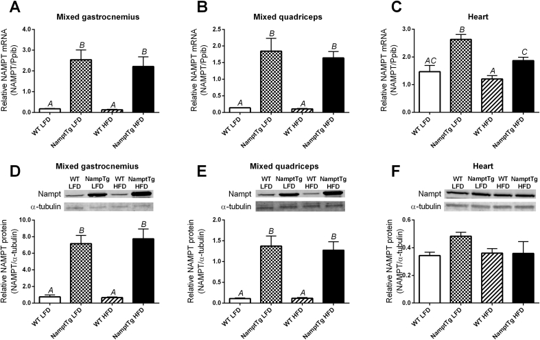 Figure 1