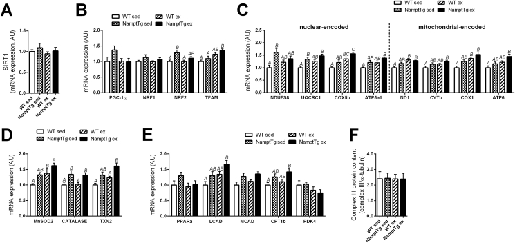 Figure 6