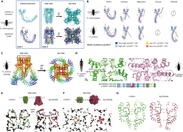 Figure 3