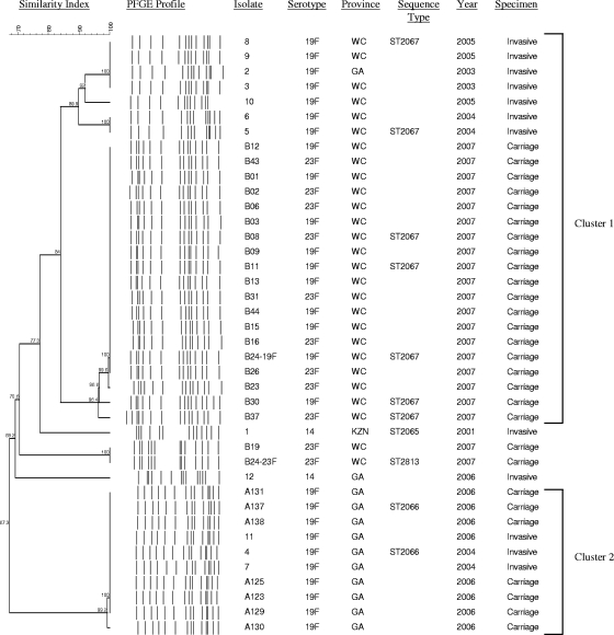 FIG. 1.